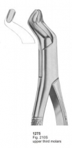  Fig. 210S upper third molars 